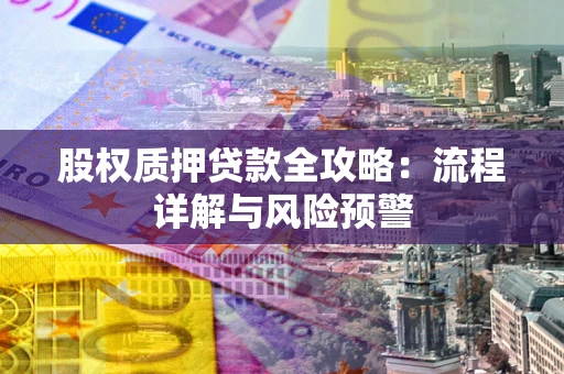 武汉股权质押贷款全攻略：流程详解与风险预警