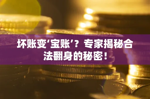 武汉坏账变‘宝账’？专家揭秘合法翻身的秘密！