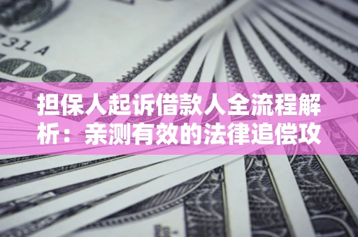 武汉担保人起诉借款人全流程解析：亲测有效的法律追偿攻略