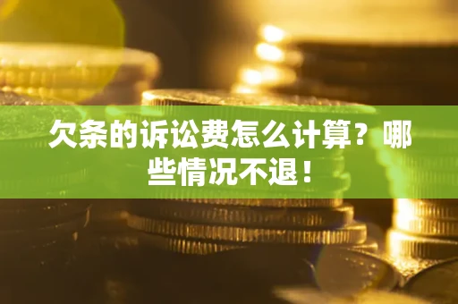 武汉欠条的诉讼费怎么计算？哪些情况不退！