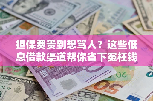 武汉担保费贵到想骂人？这些低息借款渠道帮你省下冤枉钱