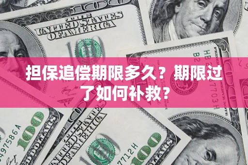 武汉担保追偿期限多久？期限过了如何补救？