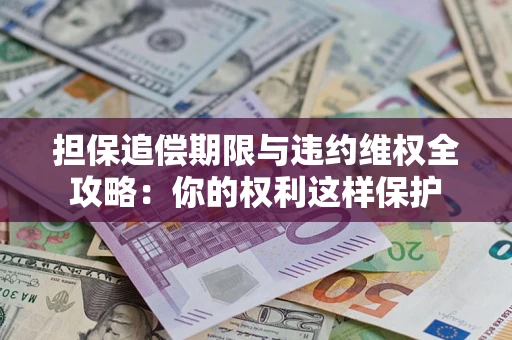 武汉担保追偿期限与违约维权全攻略：你的权利这样保护