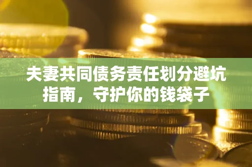 武汉夫妻共同债务责任划分避坑指南，守护你的钱袋子