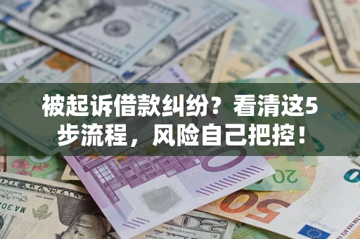 武汉被起诉借款纠纷？看清这5步流程，风险自己把控！
