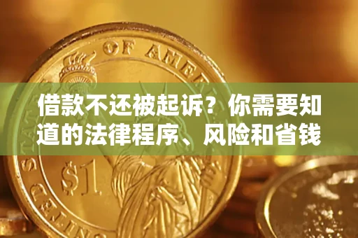 武汉借款不还被起诉？你需要知道的法律程序、风险和省钱技巧