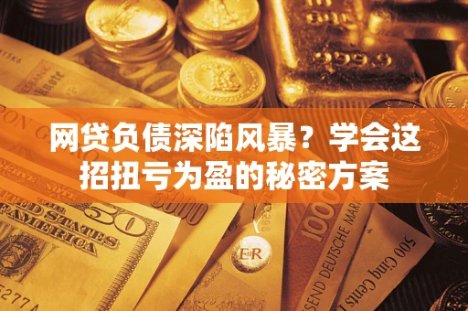 武汉网贷负债深陷风暴？学会这招扭亏为盈的秘密方案